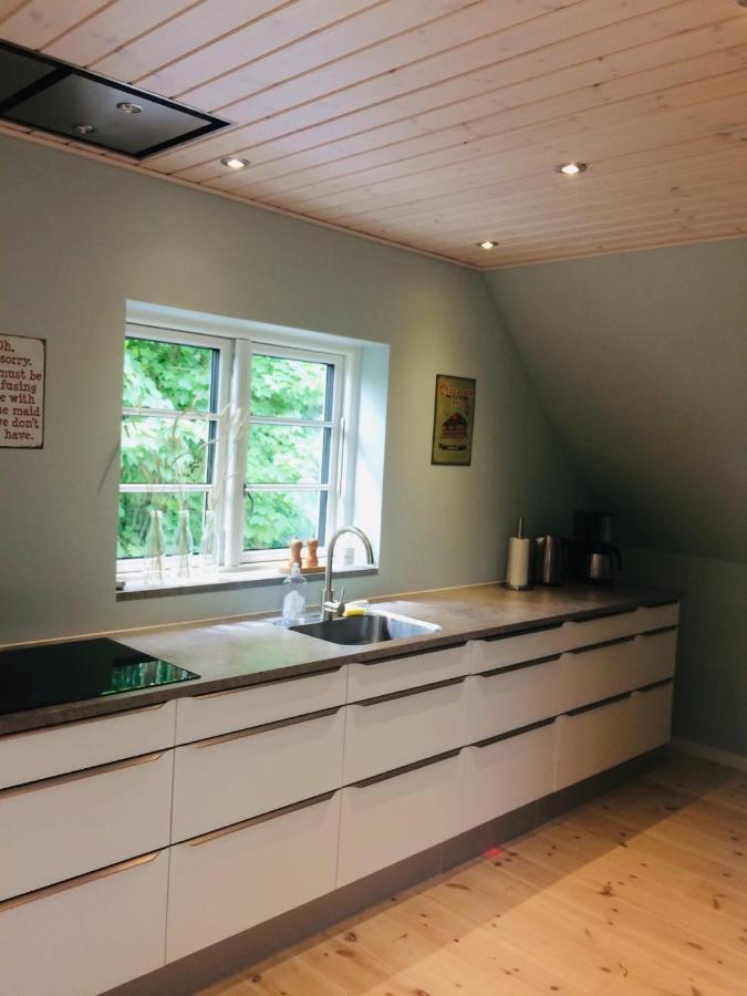Billund Holiday - Assengaard B & B ギブ エクステリア 写真