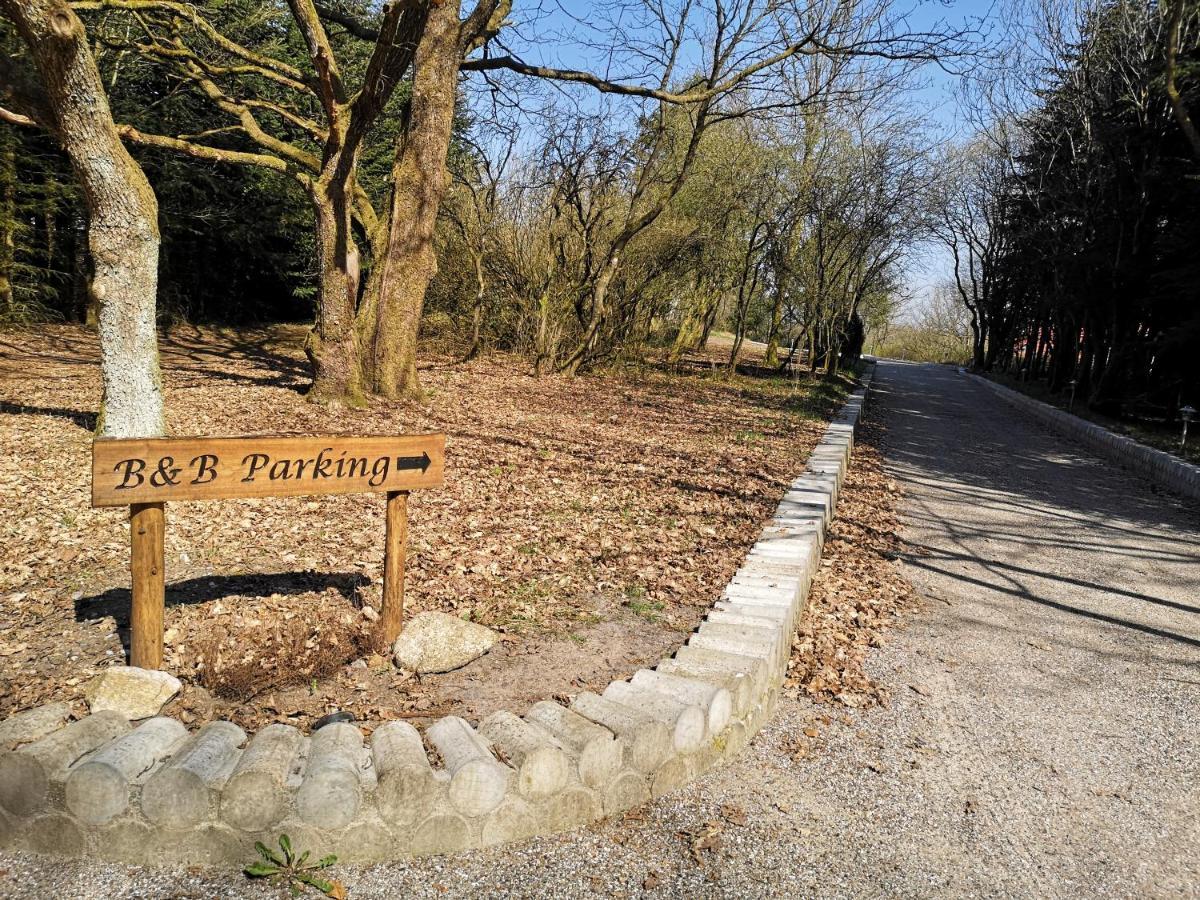 Billund Holiday - Assengaard B & B ギブ エクステリア 写真